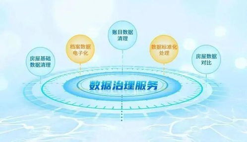 強(qiáng)基固本，鵬業(yè)數(shù)據(jù)治理服務(wù)獲客戶表彰